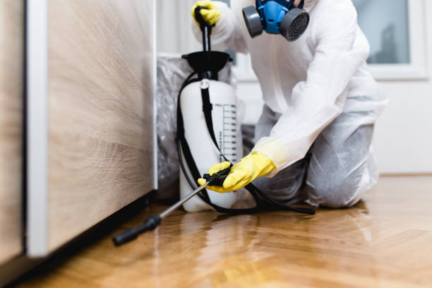 Best Pest Control for Restaurants  in Shongopovi, AZ