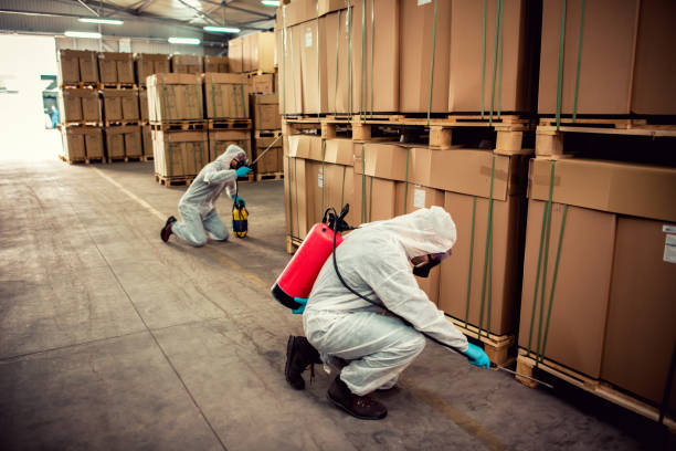 Best Pest Removal Services  in Shongopovi, AZ